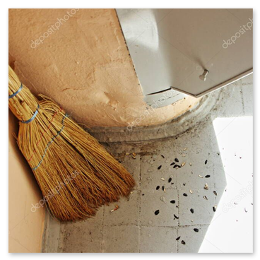 Cage d’escalier de copropriété impeccablement propre